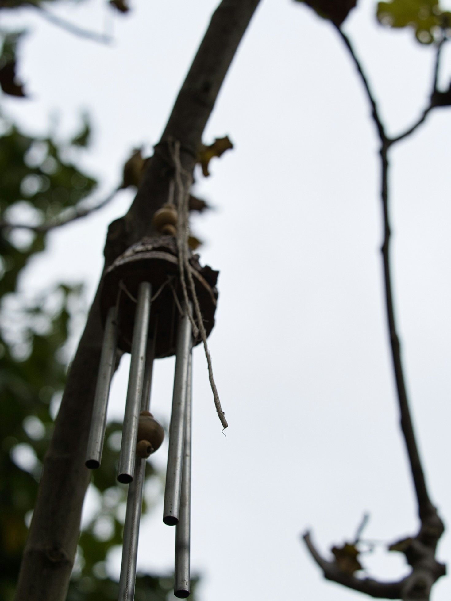 Jak dźwięki mogą odmienić zwiedzanie Wrocławia