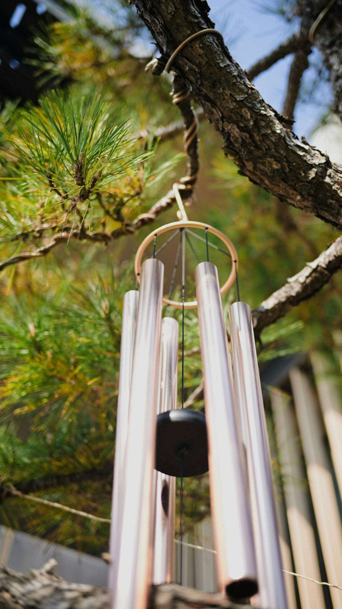 Muzyka ulic Wrocławia: Co warto usłyszeć