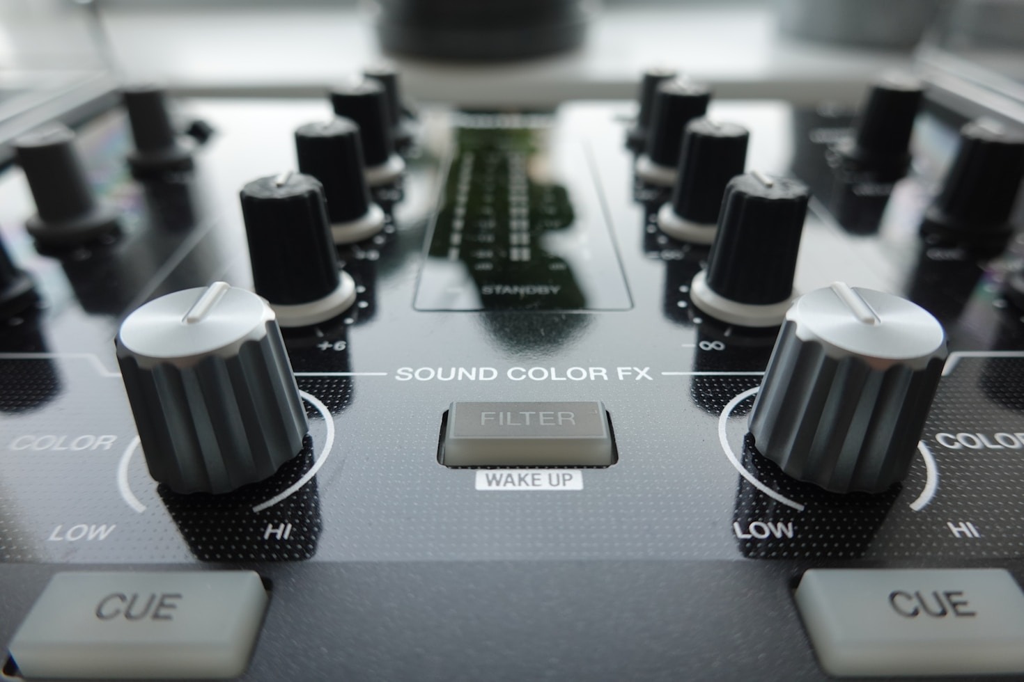 Odgłosy przyrody w miejskiej dżungli